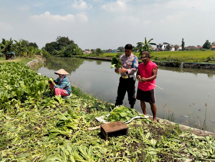 Bhabinkamtibmas Desa Wonokasian Tinjau Lahan Pekarangan Bergizi Warga Dukung Program Ketahanan Pangan Nasional